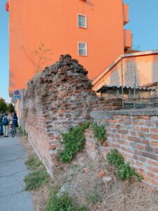 IMG_1588